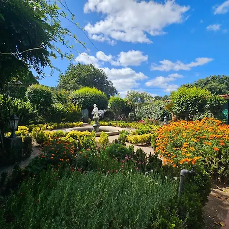Casa de hóspedes Solar Da Saudade Landim
