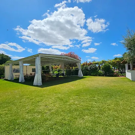 Casa de hóspedes Solar Da Saudade