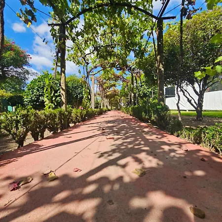 Solar Da Saudade Konukevi Landim