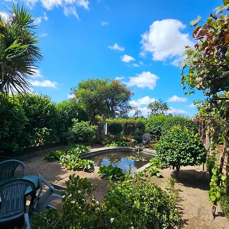 Solar Da Saudade Casa de hóspedes 3*